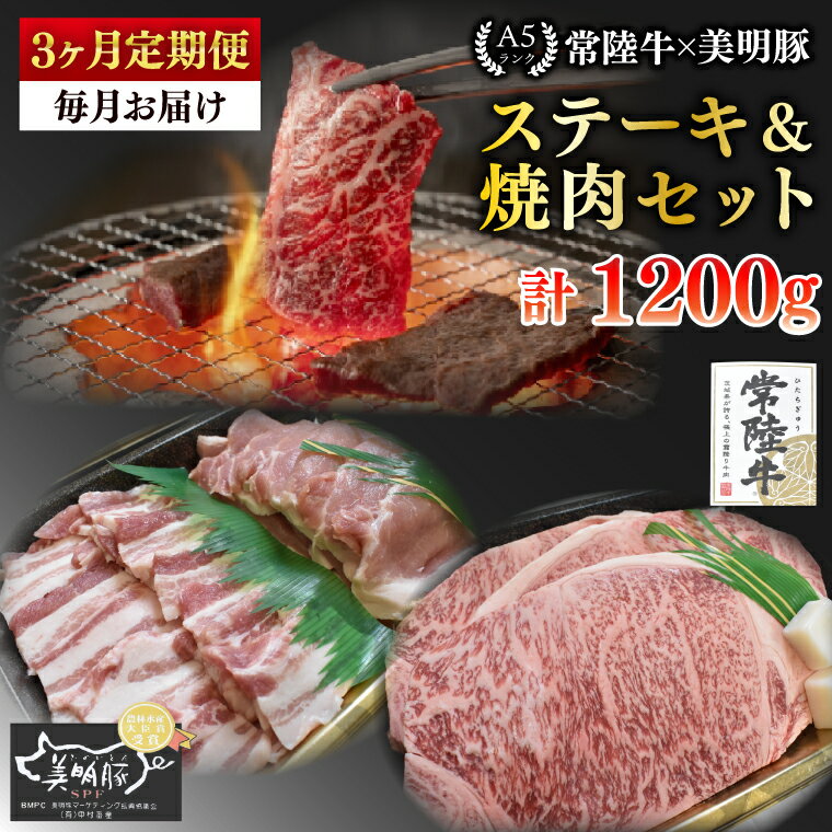 【ふるさと納税】【3ヶ月定期便】【常陸牛 A5ランク・美明豚ステーキ焼肉セット】常陸牛サーロイン200g＋美明豚200g（ロース100g・ばら100g）【冷凍 国産牛 和牛 牛肉 豚肉 ブランド豚 茨城県 水戸市 食べ比べ セット商品 国産 BBQ】（EK-34_1）