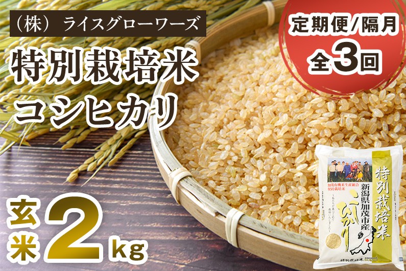 
                  【令和8年産新米先行予約】【定期便3回隔月お届け】新潟県加茂市産 特別栽培米コシヒカリ 玄米2kg《10月上旬～順次出荷》 従来品種コシヒカリ （株）ライスグローワーズ
                
