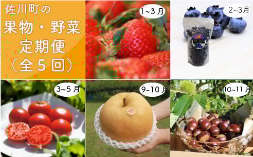 
＜佐川のフルーツ・野菜 定期便（全５回）＞いちご 冷凍ブルーベリー フルーツトマト 梨 夢甘栗
