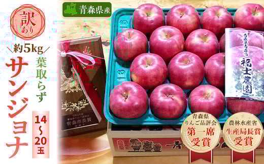 「葉とらずサンジョナ」約5kg・訳あり家庭用りんご 青森市長賞受賞【1106868】