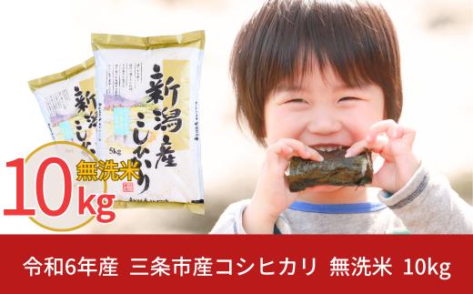 新米 無洗米 新潟県三条市産コシヒカリ 10kg こしひかり令和6年産 米 [株式会社白熊]【014S022】