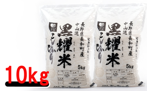 信州長和町産　コシヒカリ10kg お米 精米 こしひかり