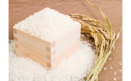 令和7年新米 真庭市産 太安さんちのあきたこまち 無洗米 5kg / お米 岡山県 人気 ブランド 2025年産 【tkns016-01】