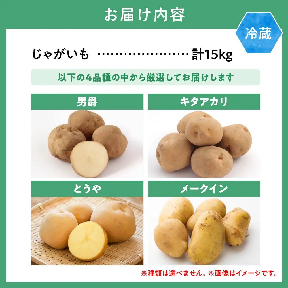 【2026年先行予約】森本農園じゃがいも15kgセット | じゃがいも ジャガイモ 男爵じゃがいも キタアカリ とうや メークイン じゃがいも
