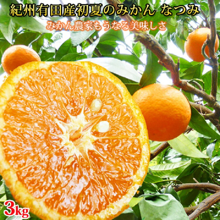【ふるさと納税】 初夏のみかん なつみ3kg ※2026年4月中旬頃〜2026年4月下旬頃順次発送（お届け日指定不可）