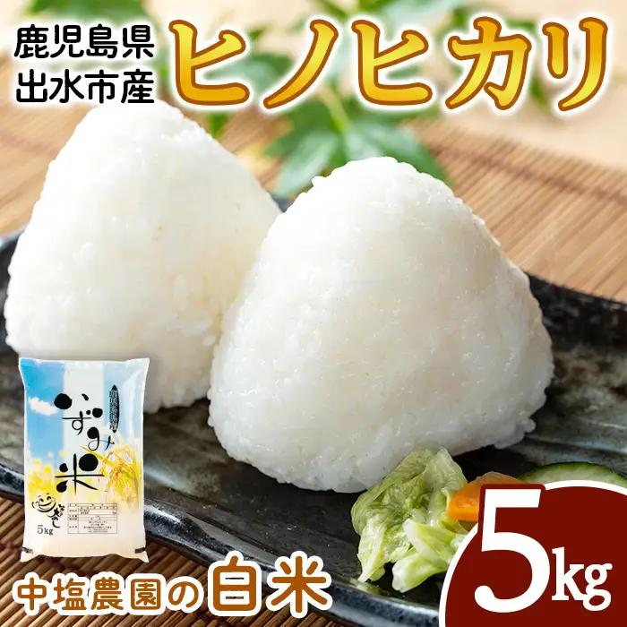 i1079-A 令和7年産 鹿児島県 出水市産 ヒノヒカリ (5kg) 米 5kg ひのひかりヒノヒカリ 鹿児島 5キロ お米 九州 九州産 甘み あっさり もちもち 【いずみキッチン】