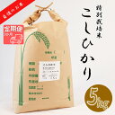 【ふるさと納税】≪令和6年産≫ 新米 【3か月定期便】 【特別栽培米】 垂井町産 コシヒカリ (5kg×3回）