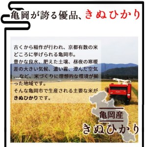 定期便 無洗米 5kg 6ヶ月 京都丹波産 キヌヒカリ 6回定期便 5kg ×6回 計30kg ※受注精米 ※北海道・沖縄・その他離島への配送不可《米 白米 きぬひかり 5kg 6回 計30キロ ふる