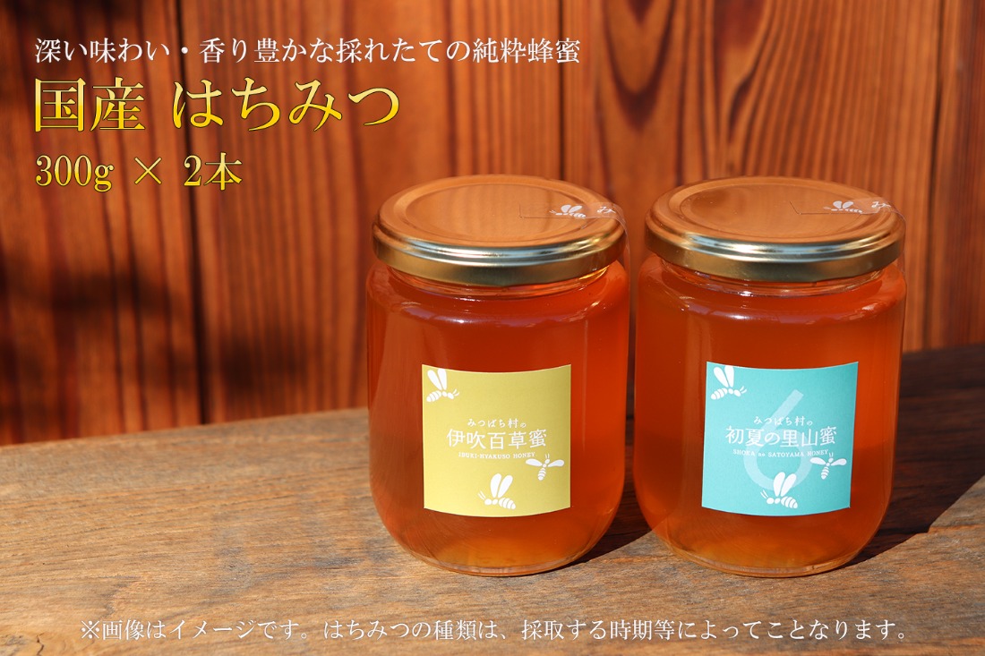 E-25a 国産はちみつ300g 2本セット