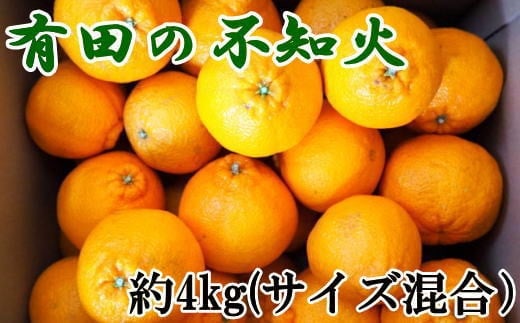 【濃厚】有田産不知火約4kg（M～3Lサイズ混合）　※2026年2月中旬～2026年3月下旬頃発送予定（お届け日指定不可） / 果物 不知火 フルーツ 蜜柑 みかん 【tec930A】