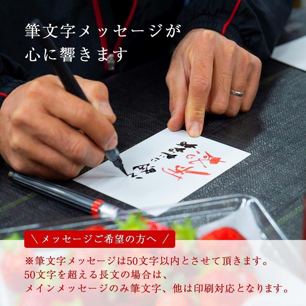【2025年1月～4月納品分予約販売】★たっぷり1000g！★ミニサイズの「完熟あまおう」セット