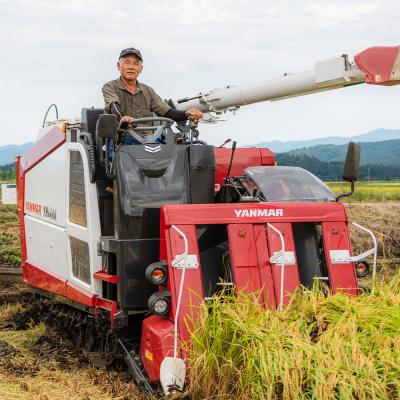 ふるさと納税 大石田町 【1週間程度で発送】新米 米 玄米 10kg ひとめぼれ 令和7年産 山形県産 |  | 01