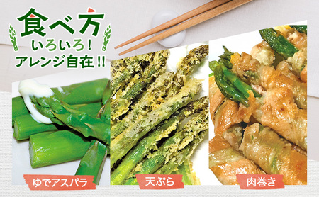 【令和9年産】2027年発送 先行予約 アスパラ 専門農家 の 特選 グリーンアスパラ 1kg M アスパラガス 原農園 朝採りアスパラ 野菜 北海道 上富良野町 グリーンアスパラ