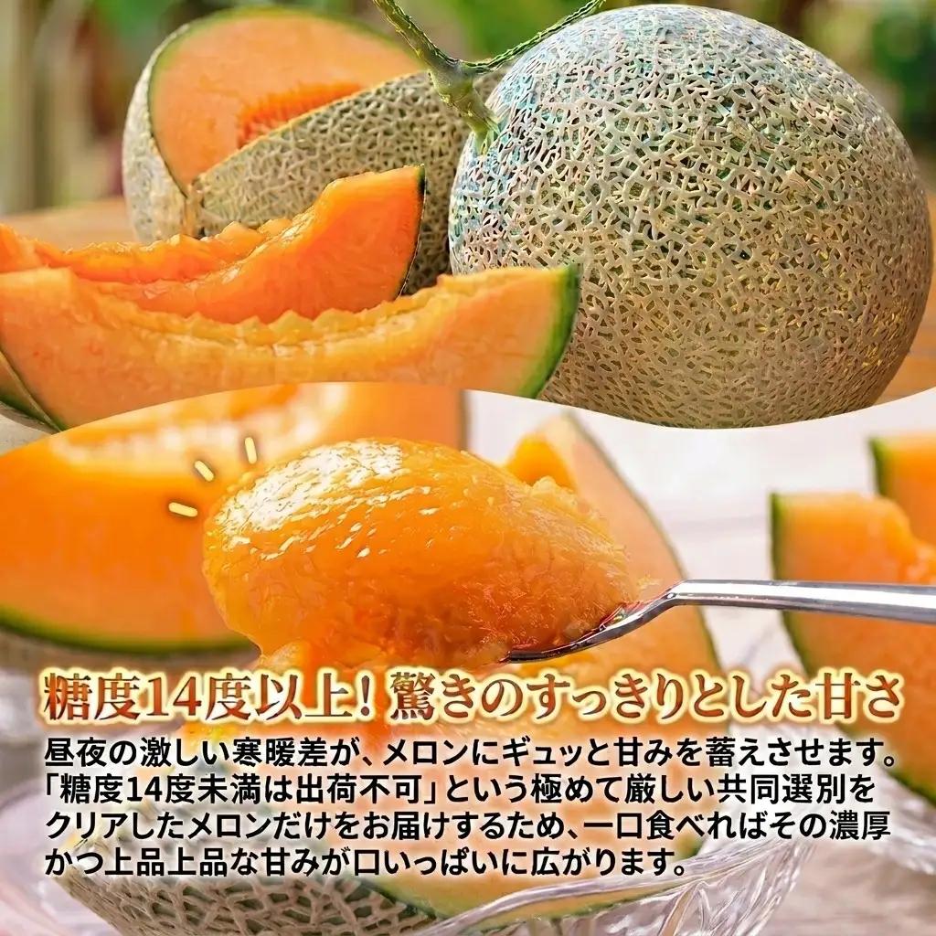 ＜残りわずか＞　追分アサヒメロン 秀品 2玉(5玉サイズ)  赤肉メロン 国産 北海道 安平町