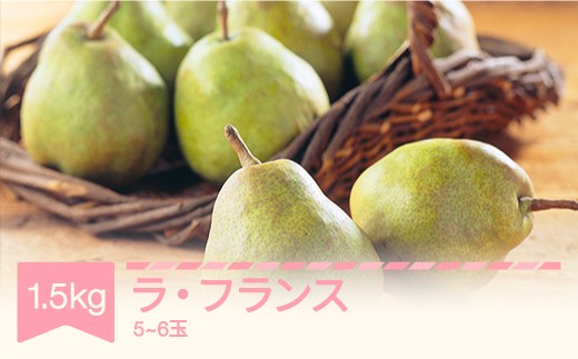 【先行予約】ラ・フランス 洋梨 ラフランス 1.5kg 秀品 令和8年産 2026年産 果物 mm-lasxx1500