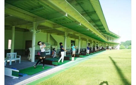 クラウンゴルフクラブ　ゴルフ練習場利用プリペイドカード【ゴルフ練習場  プリペイドカード 1枚3,000円分  神奈川県 小田原市 ゴルフ ゴルフ 】