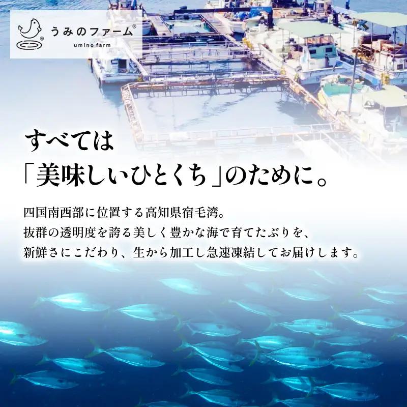 ぶり 120g 冷蔵 刺身 ブリ 鰤 お刺身 たたき しゃぶしゃぶ 鍋 カルパッチョ 丼 鮮魚 魚 お届け指定日 指定日 お試し 新鮮 魚介 海鮮 海産物 海鮮丼 養殖 刺し身 お刺し身 ブロック フ