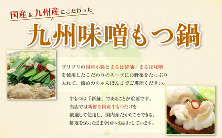 W69-03 おどろきっちん 博多もつ鍋セット(九州味噌仕立て) 2～3人前