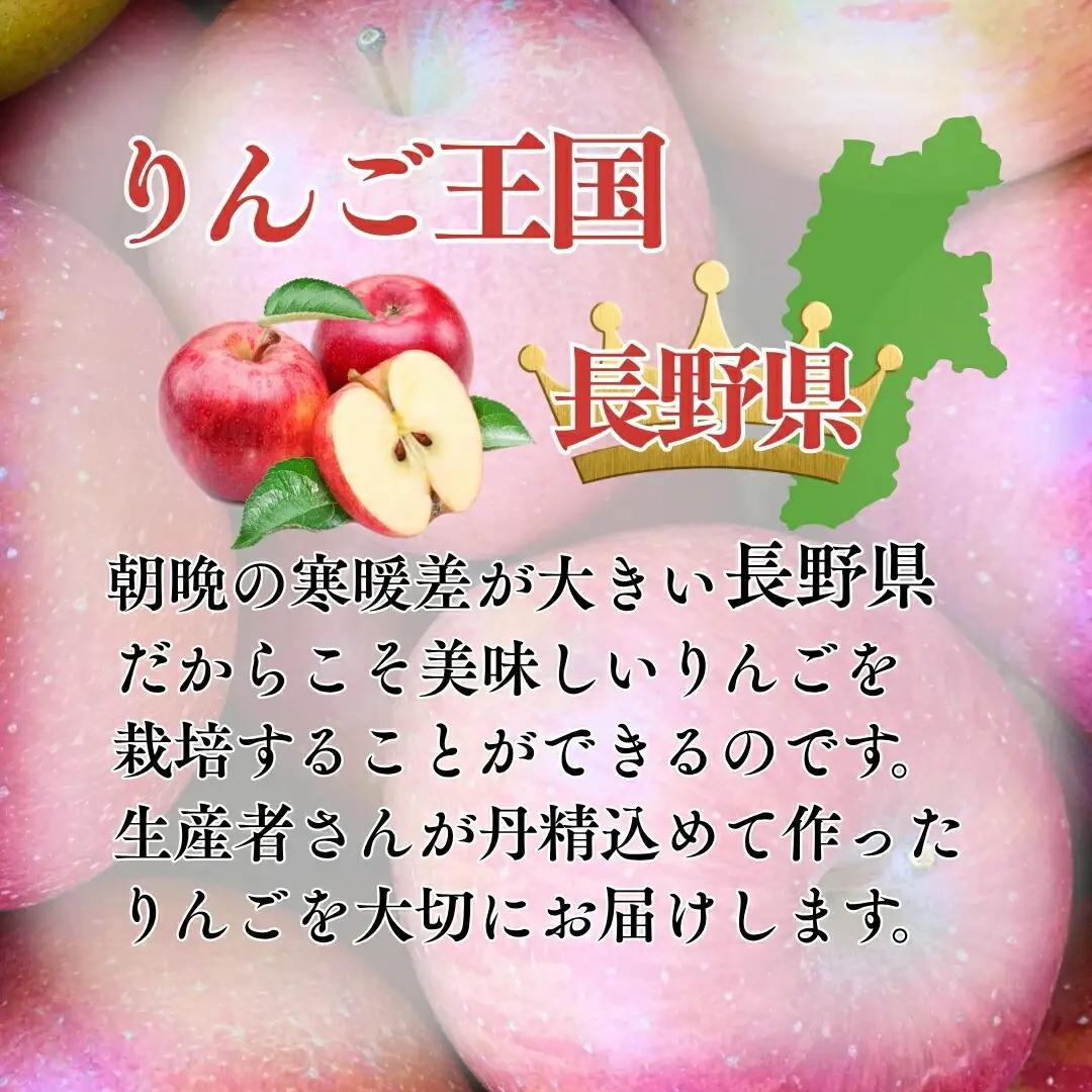 【2026年先行予約】千曲市産りんご 季節のりんご3種 約5kg 訳あり 家庭用 | りんご
