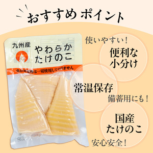 i1056 国産たけのこ水煮 穂先のみ (計1.7kg・170g×10P) 小分け 国産 九州産 たけのこ 筍 タケノコ  水煮 常温保存 常温 料理 煮物 炊き込みご飯 おでん 料理 お手軽 【旬彩