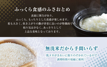 【令和7年産 先行予約】房の黄金米「ふさおとめ」10kg 千葉県 山武市 ふるさと納税 SMBR002 米 お米 白米 無洗米