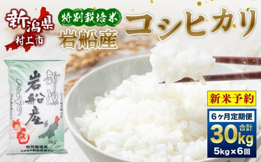 【新米受付・令和7年産米】 特別栽培米　新潟県岩船産コシヒカリ30kg（5kg×6ヶ月コース ） 1013008N  定期便  毎月 新米予約 お米  白米 こしひかり 精米 村上市