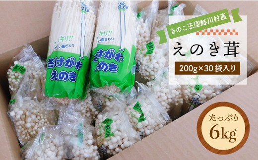 きのこ王国鮭川村産 ［えのき茸］ たっぷり6kg（200g×30袋入り）