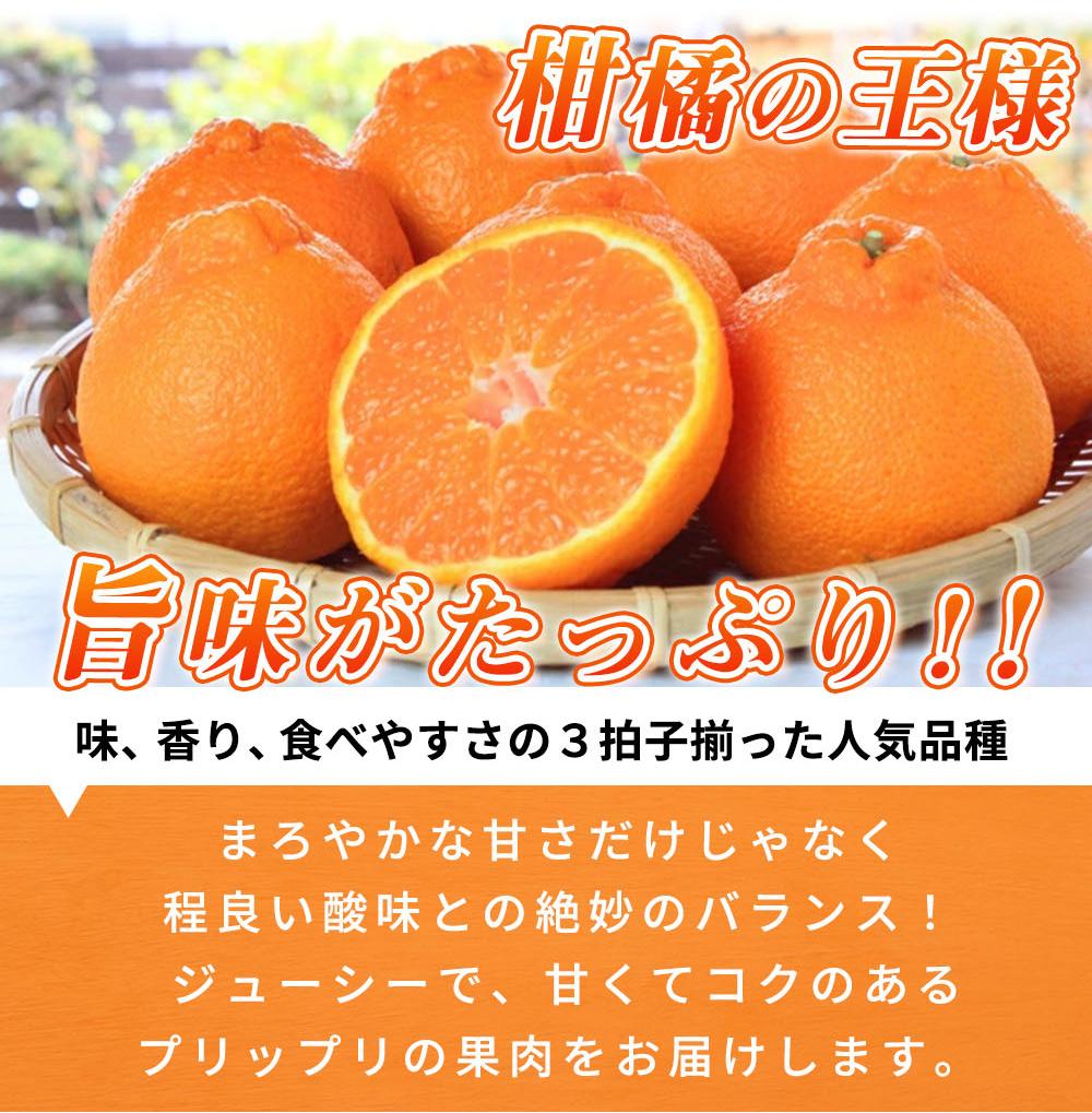 完熟紀州デコ(不知火) 約3kg　果肉プリプリ♪【2025年2月下旬以降発送】【先行予約】【UT42w】AN016_イメージ3