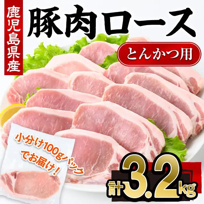 鹿児島県産 豚肉 ロース とんかつ (計3.2kg・100g×32P) 【株式会社羽根】A1083