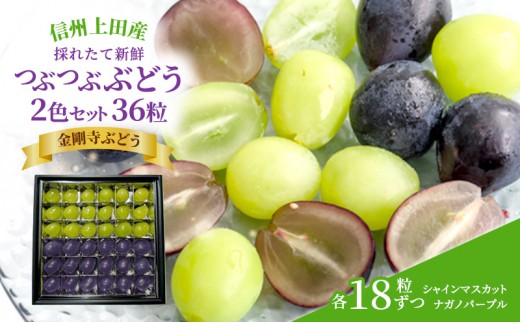 
                  厳選！シャインマスカット ナガノパープル jewelry box 信州上田産金剛寺ぶどう 2色 セット 36粒 各18粒 詰め合わせ 葡萄 ブドウ マスカット 果物 くだもの フルーツ 旬のフルーツ 長野県 長野
                