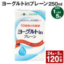 【ふるさと納税】【定期便】【1ヶ月毎5回】ヨーグルトinプレーン 250ml 計120本（24本×5回） ヨーグルト飲料 乳酸菌 ドリンク 飲み物 飲料 常温保存 国産 熊本県産 熊本県 菊池市 送料無料