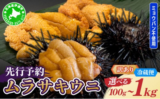 
                  【選べる内容量】＜先行予約＞ 訳あり 北海道産 ムラサキウニ 100g～1kg【ogm-028-sku】生うに 塩水うに ミョウバン不使用 海鮮 訳あり 国産 北海道 伊達 ふるさと納税
                