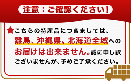 【先行受付☆2024年6月以降お届け】カブトムシ(飼育セット付き) ※限定100セット※_LG-3311_ (都城市) 国産カブトムシ オス 飼育セッ ト夏休み 子ども ゼリー 自由研究 プレゼント