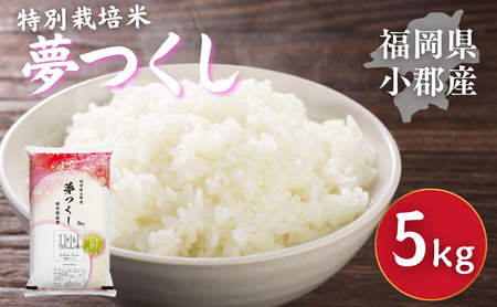特別栽培米 R7年度産 福岡県 小郡産 夢つくし 5kg 米 お米