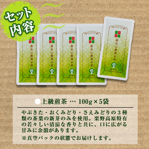 B05 上級煎茶「霧島山麓湧水茶」(5袋・1袋100g) 国産 九州産 やぶきた おくみどり さえみどり 茶さじ付き 茶葉 お茶 おちゃ 日本茶 一番茶 新茶 真空パック ギフト 贈答 プレゼント【野