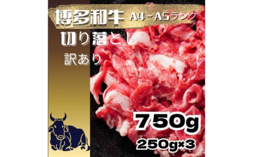 【訳あり】【A4～A5ランク】博多和牛 切り落とし 750g（250g×3個） 広川町 / 株式会社木村食品 [AFCG051]
