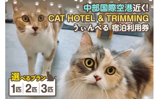 
                  CAT HOTEL & TRIMMING　うぃんべる　宿泊利用券【選べるプラン：1匹・2匹・3匹】│ペットホテル ペットと泊まれる 宿泊券 猫 キャット 猫ホテル 見守りサービス 猫専用ルーム 窓付き個室 見守りカメラ 1泊2日ノンゲージ トリミング 家族旅行 愛知県 常滑市
                