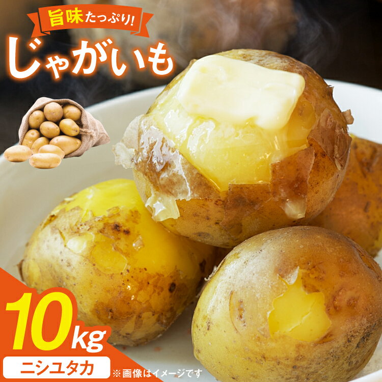 【ふるさと納税】 じゃがいも 産地直送 春野菜 野田さん家のじゃがいも ニシユタカ 10kg 限定30個 [野田物産 長崎県 東彼杵町 hs42bag810000] ジャガイモ 春じゃが じゃが芋