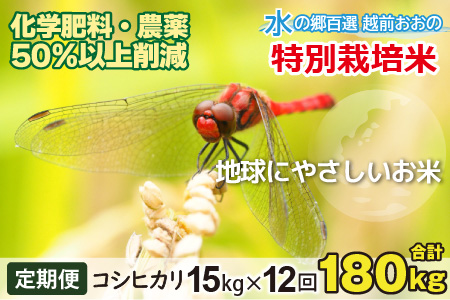 【令和5年産】【12ヶ月定期便】こしひかり 15kg × 12回 計 180kg【白米】減農薬・減化学肥料 「特別栽培米」－地球にやさしいお米－ [O-003001]