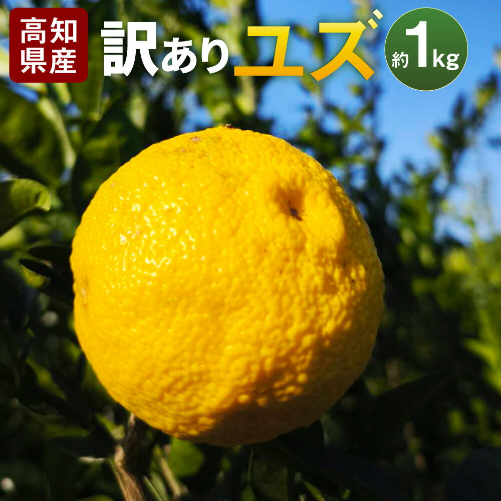【ふるさと納税】（訳あり）ユズ 約1kg ゆず 柚子 柑橘類 かんきつ フルーツ くだもの 果物 果実 果汁 香り付け 薬味 ジャム 柚子湯 高知県産 国産 高知県 香美市 送料無料 【2026年11月上旬～12月下旬迄発送予定】