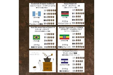 店主の厳選コーヒー 200g × 3種（ 計 600g ） 粗びき