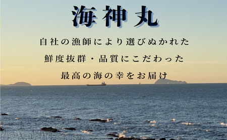 【3ヶ月毎定期便】 平貝 (タイラギ) 全4回 5個×4回 20個 冷凍 平貝 タイラギ 貝 魚貝類 魚貝 パスタ お刺身 フライ 揚げ物 料理 ごはん おかず お酒 晩酌 人気 おすすめ 愛知県 南