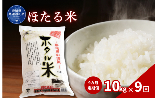 【9カ月定期便】ほたる米 10kg（茨城県共通返礼品・城里町産） / 米 こめ コメ お米 おこめ ほたる米 白米 精米 ごはん ご飯 令和7年産 10kg 定期便 茨城県 城里町 利根町