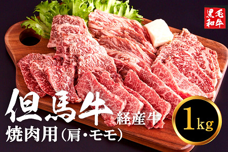 【ふるなびWEEK対象】但馬牛経産牛「焼肉用」（肩・モモ）1kg(500g×2)　019AA01N.／焼肉セット 黒毛和牛 市川精肉店 経産牛 牛肉 国産 bbq バーベキュー 焼肉セット　FN-Limited