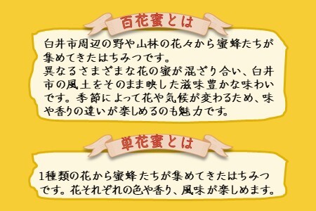 国産純粋生はちみつ ハニービーズコレクション“しろいの季節” 170g 純粋はちみつ 非加熱 添加物なし 百花蜜 単花蜜 国産はちみつ 生はちみつ100% 美味しい