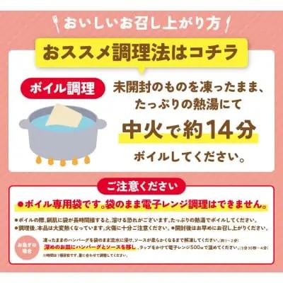 Z61-31 どっちのハンバーグ!?デミグラスソース20個セット（ビーフ・合挽 各10個） ハンバーグ