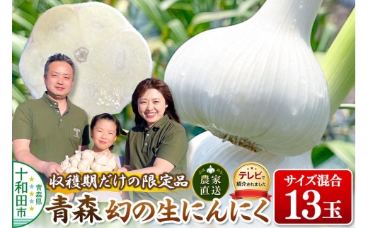 【2027年収穫分】先行受付【テレビ紹介】青森 幻の生にんにく13玉（農家直送・収穫期だけの限定品） 青森にんにくファーム [稀少 ニンニク 今が旬 直送]