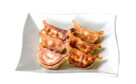 【奄美鶏飯】と【奄美島豚】餃子・ハンバーグのセット 豚肉