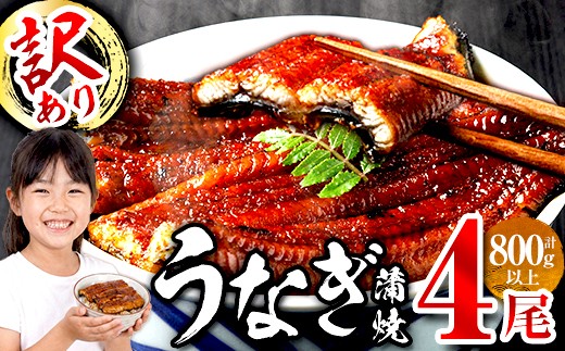 
                  ＜訳あり・簡易包装＞ うなぎ 蒲焼 ＜4尾 計800g＞ (1尾 約200g) うなぎ 鰻 ウナギ 蒲焼 かばやき 冷凍 お惣菜 おすすめ 不揃い 小分け 湯煎 温めるだけ 簡単調理 うな重 ひつまぶし 人気 丑の日 ＜離島配送不可＞【ksg1889】【大黒物産】
                