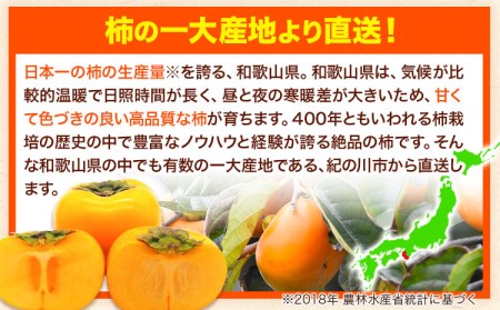 柿 かき お試し用！  【先行予約】たねなし柿（刀根早生柿・平核無柿）約1.5kg（6～8玉前後） 《2024年9月下旬-10月下旬頃出荷》 和歌山県 紀の川市 種なし柿 産地直送 柿 果物 フルーツ